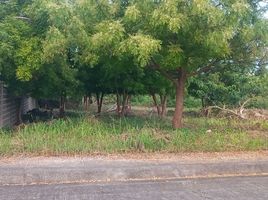  Terreno (Parcela) en venta en Lapu-Lapu City, Central Visayas, Lapu-Lapu City