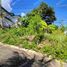  Terreno (Parcela) en venta en Cebu City, Central Visayas, Cebu City, Cebu, Central Visayas, Filipinas