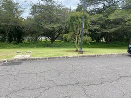  Land for sale in Puembo, Quito, Puembo