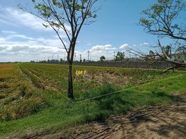  Land for sale in Nueva Ecija, Central Luzon, Cabanatuan City, Nueva Ecija