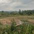  Land for sale in Floridablanca, Santander, Floridablanca