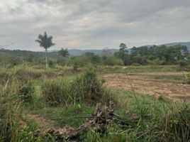  Land for sale in Floridablanca, Santander, Floridablanca