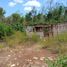  Grundstück zu verkaufen in Othon P Blanco, Quintana Roo, Othon P Blanco