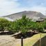  Land for sale in Calacali, Pichincha, Calacali