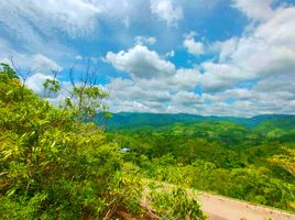  Land for sale in Balamban, Central Visayas, Balamban