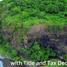  Terreno (Parcela) en venta en San Felipe, Central Luzon, San Felipe