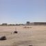  Terreno (Parcela) en venta en Mexicali, Baja California, Mexicali