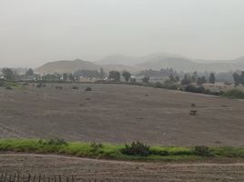  Land for sale in Pachacamac, Lima, Pachacamac, Lima, Lima