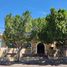 在Sonora出售的9 卧室 屋, Hermosillo, Sonora