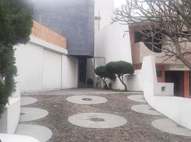 8 chambre Maison for sale in Jalisco, Guadalajara, Jalisco