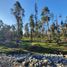  Land for sale in Nuble, Chillan, Diguillin, Nuble