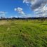 Land for sale in Nuble, Chillan, Diguillin, Nuble