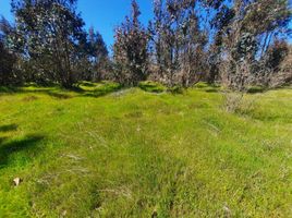  Land for sale in Nuble, Chillan, Diguillin, Nuble