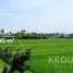  Land for rent in Mengwi, Bali, Mengwi