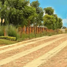  Land for sale in Leon, Guanajuato, Leon, Guanajuato, Mexico