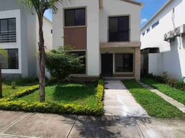 4 Habitación Villa en alquiler en Ecuador, Daule, Daule, Guayas, Ecuador