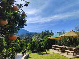 3 Bedroom House for sale in Lembang, West Jawa, Lembang