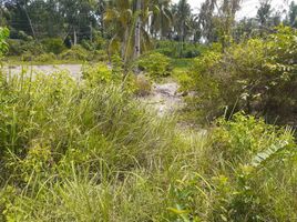  Land for sale in Sibonga, Cebu, Sibonga