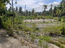  Grundstück zu verkaufen in Cebu, Central Visayas, Sibonga, Cebu