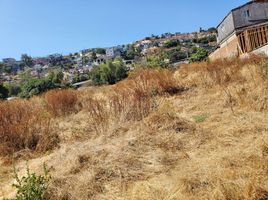  Grundstück zu verkaufen in Tijuana, Baja California, Tijuana