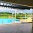  Land for sale in Cordova, Central Visayas, Cordova