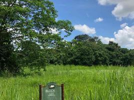  Terreno (Parcela) en venta en Calamba City, Calabarzon, Calamba City, Laguna, Calabarzon, Filipinas