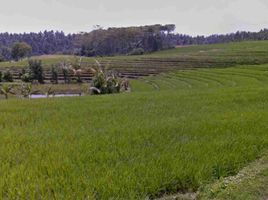  Grundstück zu verkaufen in Tabanan, Bali, Kerambitan, Tabanan