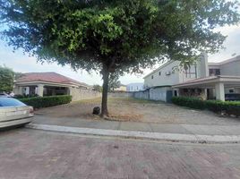  Terreno (Parcela) en venta en Samborondón, Guayas, Samborondon, Samborondón