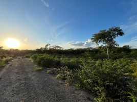  Terrain for sale in Ixil, Yucatan, Ixil