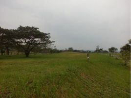  Land for sale at Elaro, Santa Rosa City