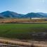  Terreno (Parcela) en venta en San Felipe de Aconcagua, Valparaíso, San Felipe, San Felipe de Aconcagua