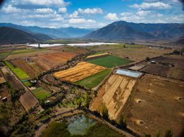  Terreno (Parcela) en venta en San Felipe de Aconcagua, Valparaíso, San Felipe, San Felipe de Aconcagua