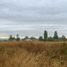  Land for sale in Araucania, Nueva Imperial, Cautin, Araucania