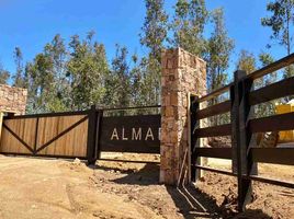  Terreno (Parcela) en venta en Chile, Litueche, Cardenal Caro, Libertador General Bernardo O'Higgins, Chile