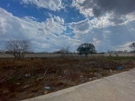  Grundstück zu verkaufen in Tixpehual, Yucatan, Tixpehual