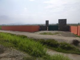  Terreno (Parcela) en venta en Chincha, Ica, El Carmen, Chincha