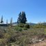  Terreno (Parcela) en venta en Biobío, Coronel, Concepción, Biobío