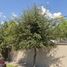 4 Habitación Casa en venta en Monclova, Coahuila, Monclova, Coahuila