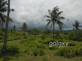  Land for sale in Klungkung, Bali, Nusa Penida, Klungkung