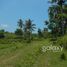  Land for sale in Nusa Penida, Klungkung, Nusa Penida