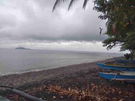  Grundstück zu verkaufen in Negros Oriental, Negros Island Region, Dauin