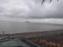  Land for sale in Dauin, Negros Oriental, Dauin