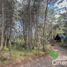  Land for sale in Medellin, Antioquia, Medellin, Antioquia, Colombia