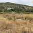  Terreno (Parcela) en venta en Ensenada, Baja California, Ensenada