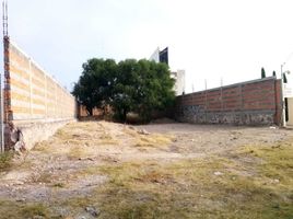  Grundstück zu verkaufen in San Luis Potosi, San Luis Potosi, San Luis Potosi, San Luis Potosi