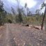  Land for sale in Cojitambo, Canar, Cojitambo