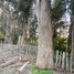  Terreno (Parcela) en venta en Valparaíso, Valparaiso, Valparaíso, Valparaíso
