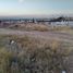  Terreno (Parcela) en venta en Aguascalientes, Aguascalientes, Aguascalientes, Aguascalientes, México