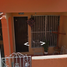 Maison 3 chambre à vendre à Merida, Yucatan, Merida, Yucatan