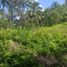  Terreno (Parcela) en venta en Cebu City, Central Visayas, Cebu City